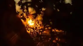 Zachód słońca nad jeziorem Niegocin - zdjęcie 25