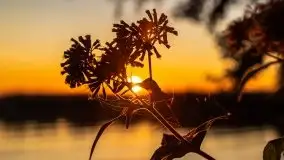 Zachód słońca nad jeziorem Niegocin - zdjęcie 16