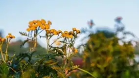 Zachód słońca nad jeziorem Niegocin - zdjęcie 21