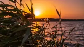 Październikowy wschód słońca nad jeziorem Kruklin - zdjęcie 46