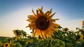 Październikowy wschód słońca nad jeziorem Kruklin - zdjęcie 22