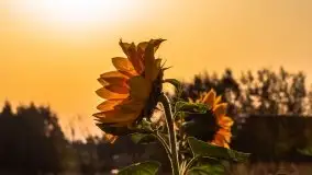 Październikowy wschód słońca nad jeziorem Kruklin - zdjęcie 28