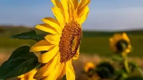 Październikowy wschód słońca nad jeziorem Kruklin - zdjęcie 45