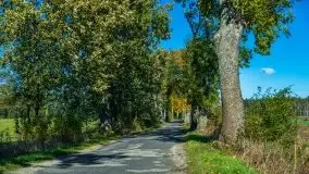 W poszukiwaniu jesieni na Mazurach - zdjęcie 17