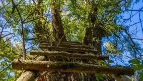 W poszukiwaniu jesieni na Mazurach - zdjęcie 19