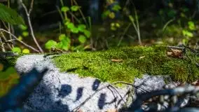 W poszukiwaniu jesieni na Mazurach - zdjęcie 21