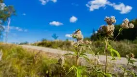 W poszukiwaniu jesieni na Mazurach - zdjęcie 5