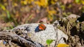 W poszukiwaniu jesieni na Mazurach - zdjęcie 54