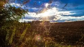 W poszukiwaniu jesieni na Mazurach - zdjęcie 56