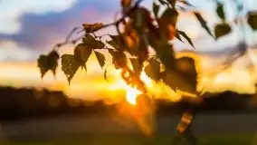 W poszukiwaniu jesieni na Mazurach - zdjęcie 59