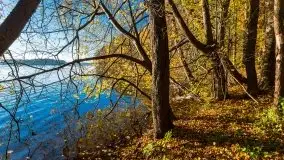 Piękna polska, mazurska złota jesień... rok temu - zdjęcie 11