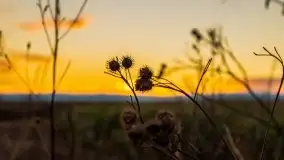 Wieczór i zachód słońca z mazurskiej drogi - zdjęcie 24