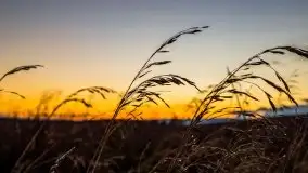 Wieczór i zachód słońca z mazurskiej drogi - zdjęcie 28