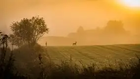 Jesień 2020 na zdjęciach Stanisława Sielewicza - zdjęcie 10