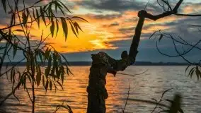 Jesień 2020 na zdjęciach Stanisława Sielewicza - zdjęcie 12