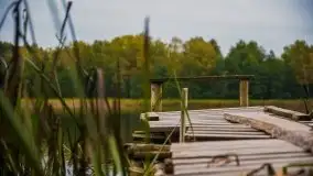 Jesień 2020 na zdjęciach Stanisława Sielewicza - zdjęcie 32