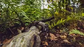 Jesień 2020 na zdjęciach Stanisława Sielewicza - zdjęcie 22