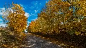 Mazurska jesień w okolicy Pieczarek i Przerwanek - zdjęcie 8