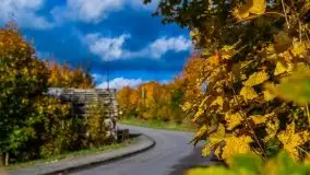 Mazurska jesień w okolicy Pieczarek i Przerwanek - zdjęcie 15