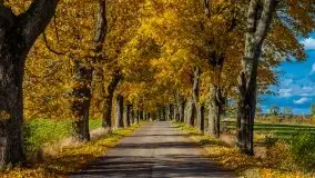 Mazurska jesień w okolicy Pieczarek i Przerwanek - zdjęcie 45