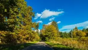 Mazurska jesień w okolicy Pieczarek i Przerwanek - zdjęcie 46