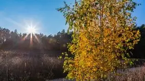 Jesienny, Mazurski las w okolicach Pieczarek - zdjęcie 13