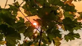 Zachód słońca, jezioro Dargin, przystań Melnik - zdjęcie 36