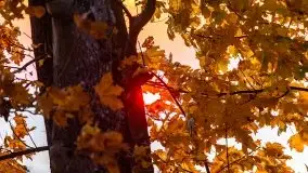 Zachód słońca, jezioro Dargin, przystań Melnik - zdjęcie 32