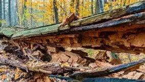 Mazury całe w barwach jesieni - zdjęcie 42