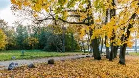 Mazury całe w barwach jesieni - zdjęcie 67