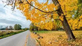 Mazury całe w barwach jesieni - zdjęcie 61