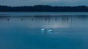 Ponury wieczór, z przesmykiem zachodu słońca - zdjęcie 23