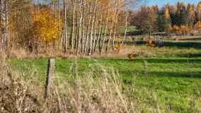 Jesiennie klimaty, Fuleda, Dziewiszewo, jezioro Dobskie - zdjęcie 15
