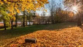 Jesiennie klimaty, Fuleda, Dziewiszewo, jezioro Dobskie - zdjęcie 12