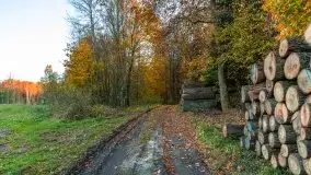 Jesiennie klimaty, Fuleda, Dziewiszewo, jezioro Dobskie - zdjęcie 21