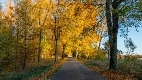 Jesiennie klimaty, Fuleda, Dziewiszewo, jezioro Dobskie - zdjęcie 8