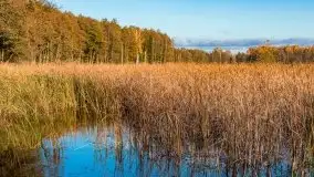 Jesiennie klimaty, Fuleda, Dziewiszewo, jezioro Dobskie - zdjęcie 16