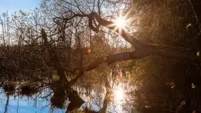 Jesiennie klimaty, Fuleda, Dziewiszewo, jezioro Dobskie - zdjęcie 27