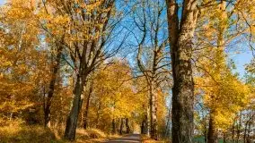 Jesiennie klimaty, Fuleda, Dziewiszewo, jezioro Dobskie - zdjęcie 51