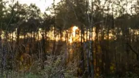 Jesiennie klimaty, Fuleda, Dziewiszewo, jezioro Dobskie - zdjęcie 49