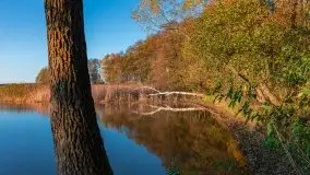 Jesiennie klimaty, Fuleda, Dziewiszewo, jezioro Dobskie - zdjęcie 52
