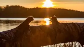 Zachód Słońca nad jeziorem Dobskim, listopad 2020 - zdjęcie 5