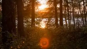 Zachód Słońca nad jeziorem Dobskim, listopad 2020 - zdjęcie 26