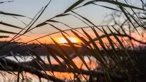 Zachód Słońca nad jeziorem Dobskim, listopad 2020 - zdjęcie 47