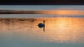 Zachód Słońca nad jeziorem Dobskim, listopad 2020 - zdjęcie 54