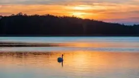 Zachód Słońca nad jeziorem Dobskim, listopad 2020 - zdjęcie 55