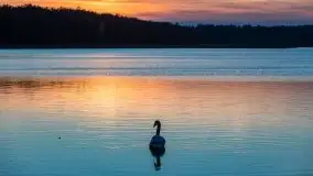 Zachód Słońca nad jeziorem Dobskim, listopad 2020 - zdjęcie 62