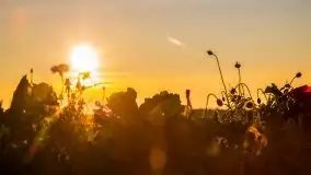 Zachód słońca niedaleko Lipowego Dworu - zdjęcie 22