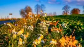 Zachód słońca niedaleko Lipowego Dworu - zdjęcie 23