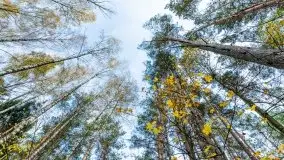 Późno jesienne klimaty gdy wieje i chłód doskwiera przy jeziorze Dargin - zdjęcie 5